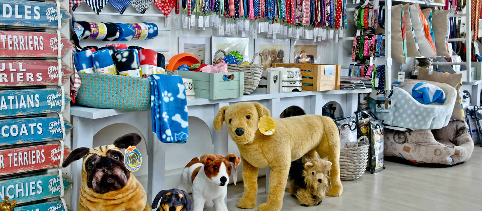 Dog luxuries