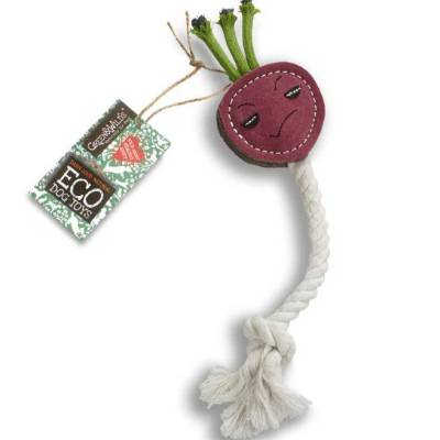 ruby the radish.JPG