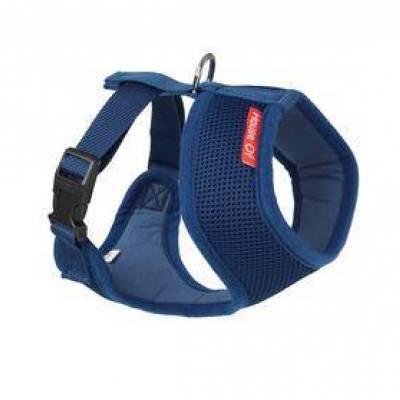 Blue Harness.jpg