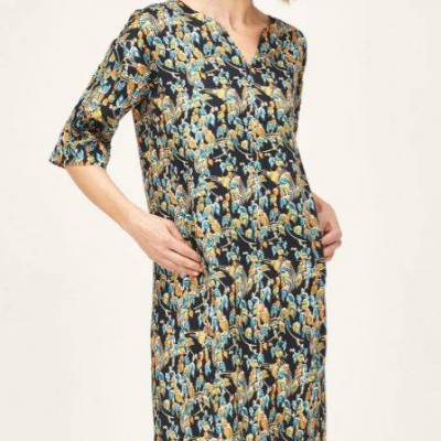 Barns Shift Dress.JPG