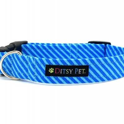 Thomas-Collar-Resize.jpg