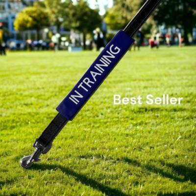 In Training Lead Sleeve.JPG