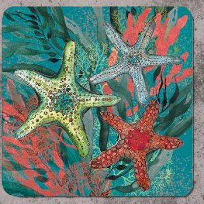 New Starfish Placemant.JPG