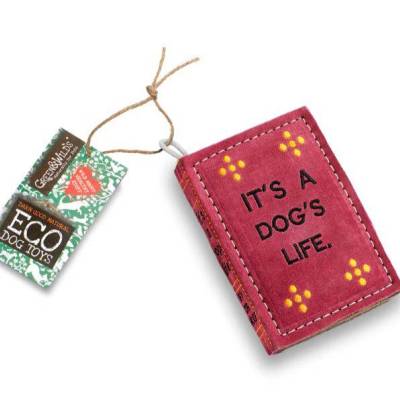 Its a dogs life.JPG