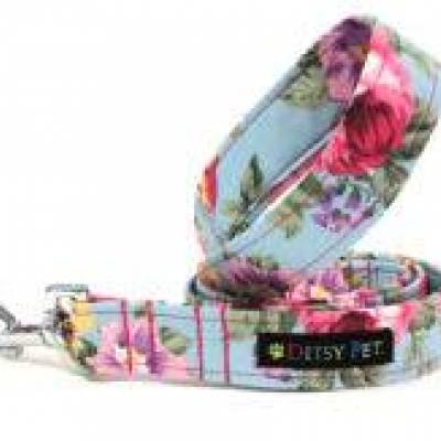 Rose-Lead-Resize-217x163.jpg