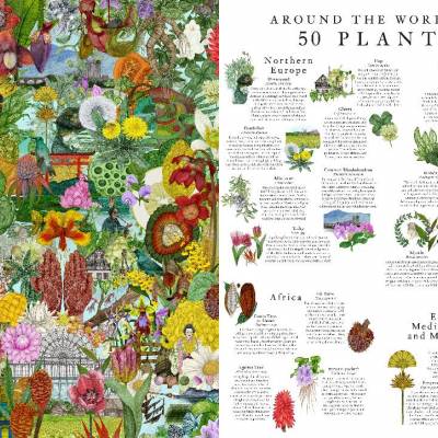 Around the world in 50 plants jogsaw 2.jpg