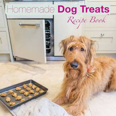 dog treats.jpg