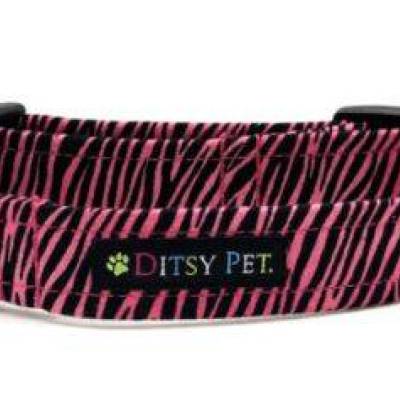 pink zebra collar.JPG