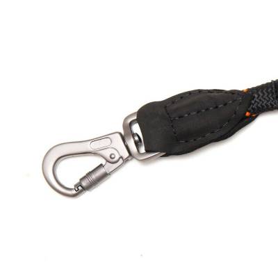 Clasp on comfort leash.jpeg
