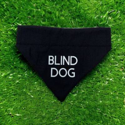 Blind.JPG