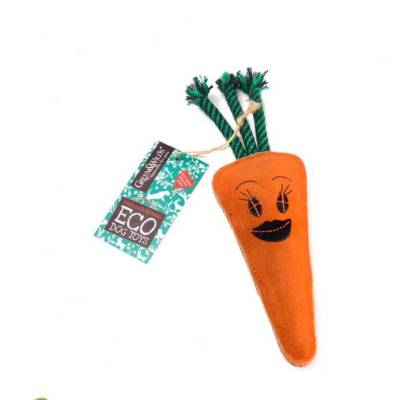 Candice the carrot.JPG
