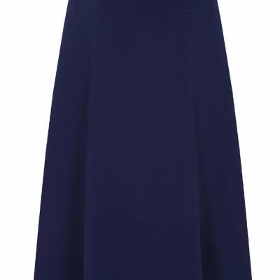 Winterberry Skirt Navy (1).jpg