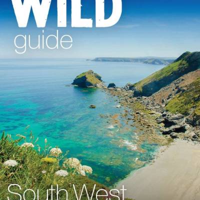 Wild Guide South West.jpg