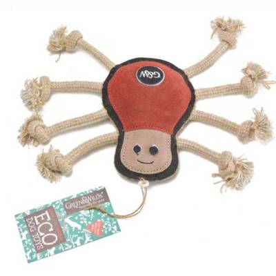 Spike the Spider.JPG