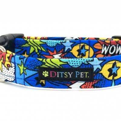 super hero collar.JPG